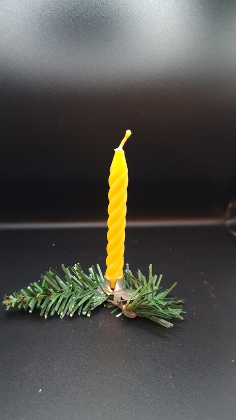 Eglīšu svecīte vīta